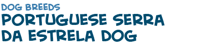 title of the page on the Portuguese Serra Estrela dog