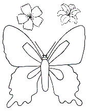 A borboleta