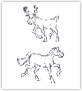 the deer and the horse