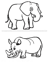 der Elefant und das Nashorn