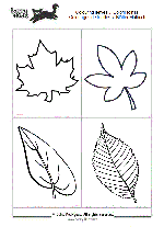 coloriages de feuilles