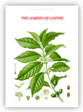 read the Legend of Coffee
