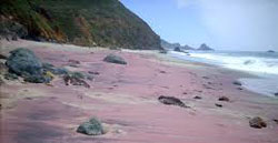 areia lils da praia Pfeiffer, CA, USA