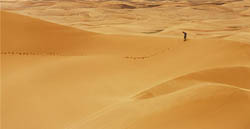Yellow sand of the Gobi desert, China and Mongolia